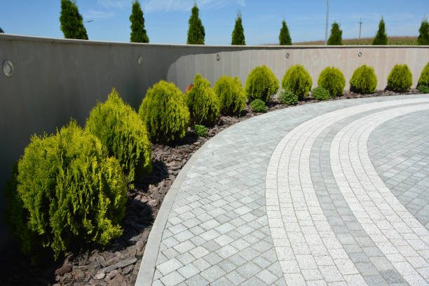 Best Decorative Driveway Pavers  in Seven Oaks, SC